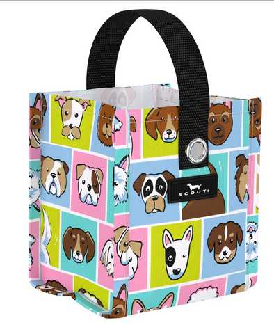 SCOUT Mini Package - Andy Warhowl