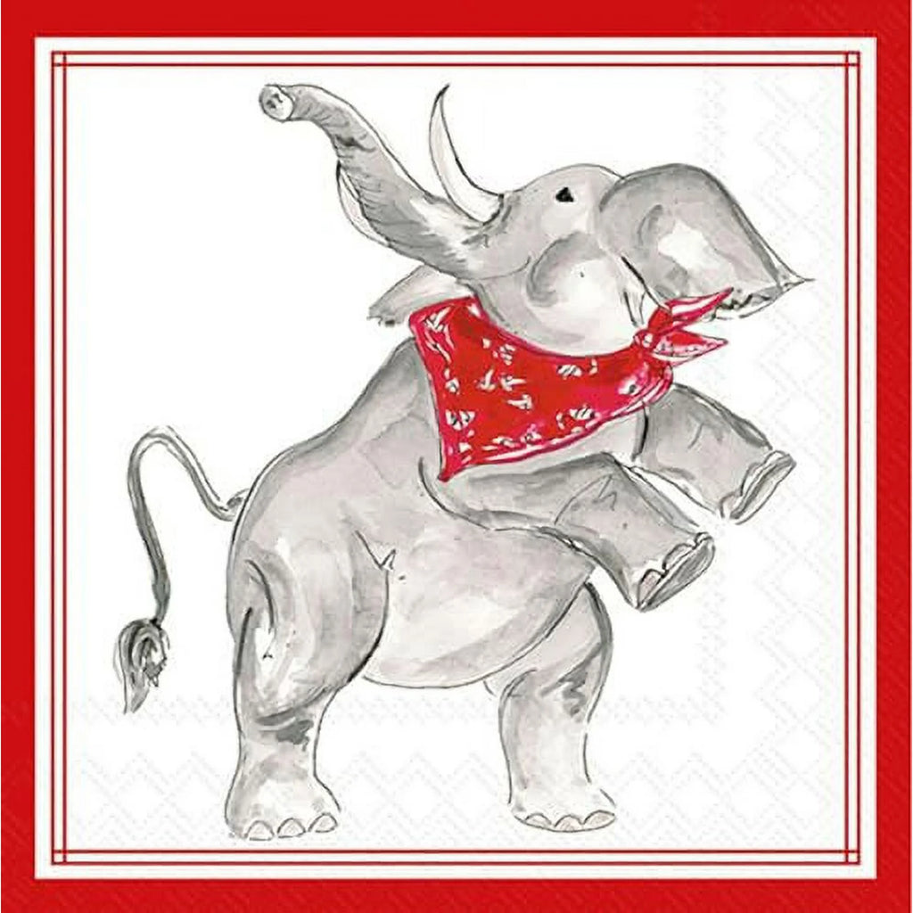 Raspberry Row Hometown Pride Cocktail Napkins